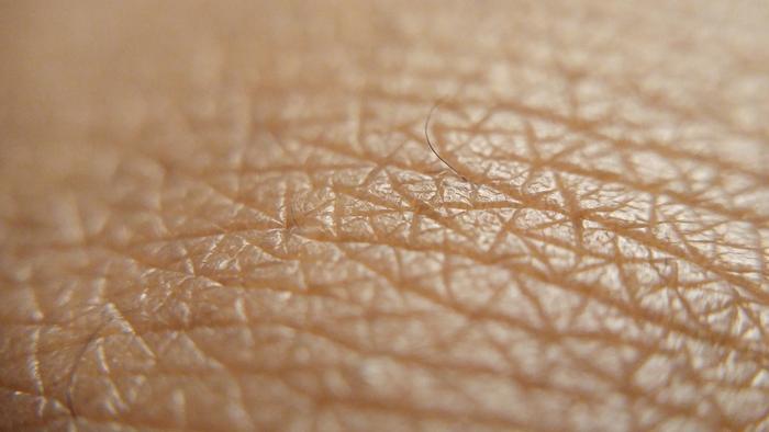 Close-up of human skin