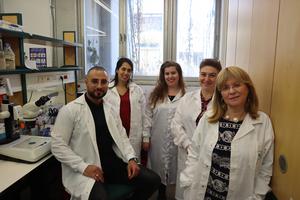 Bar-Ilan University researchers develop innovative platform for modeling human muscle diseases in worms