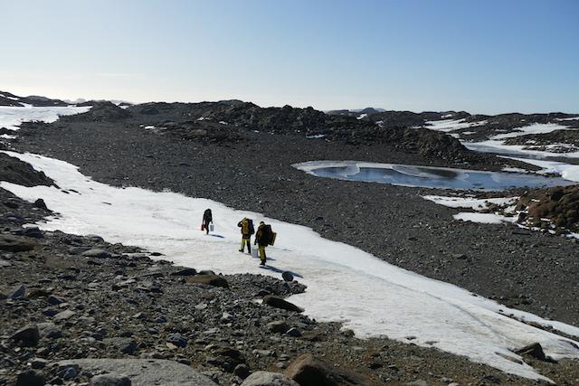 UNSW Sydney and Australian Antarctic Division researchers walk to a site