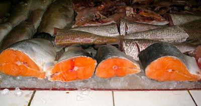 Farmed Salmon, Australia