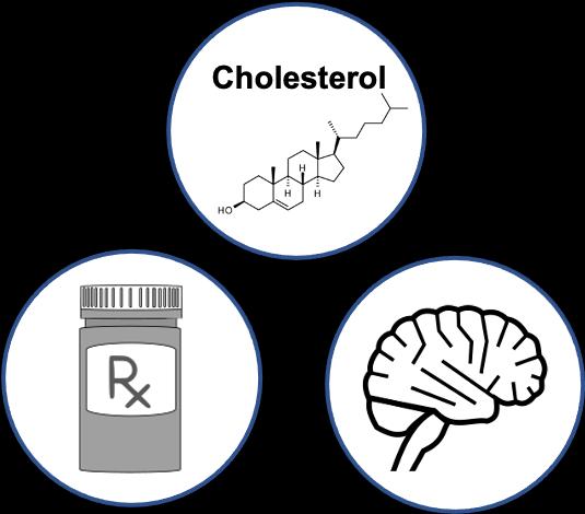 Changes in How Cholesterol Breaks Down in the Body May Accelerate Progression of Dementia & Alzheimer's Disease