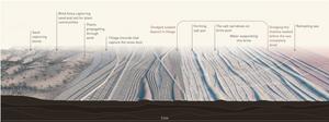 Collaborating with the non-human agencies, all the markers collectively foster a system that gracefully transitions the Aral Sea into new life forms, marking a beautiful end and a new beginning