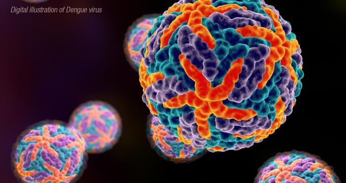 Digital Illustration of Dengue Virus