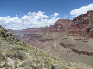 Paleozoic Sedimentary Rock