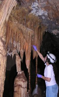 Sampling Microbes from Cave Formations