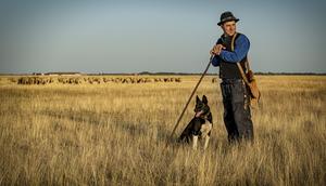 Herders as traditional knowledge holders will help conserve  Europe's nature