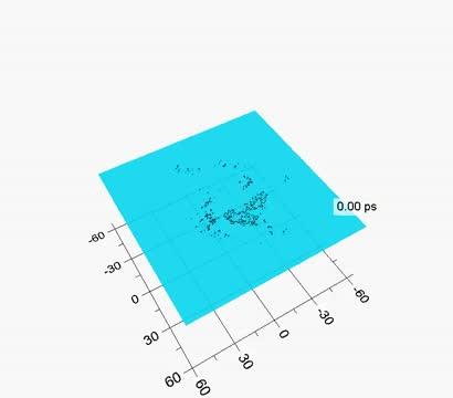 Vortex and half-vortex dynamics in a nonlinear spinor quantum fluid (1 of 2)