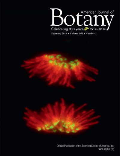 <i>American Journal of Botany</i> Cover Image