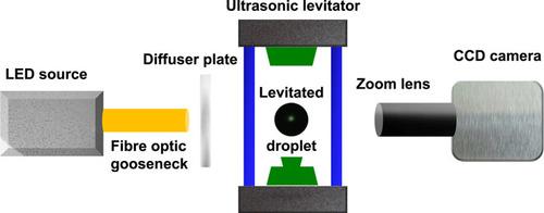 Experimental setup showing the acoustic levitation