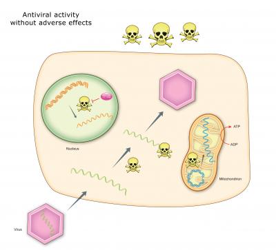 Hepatitis C Treatment's Side Effects Can Now Be Studied in the Lab (3 of 3)