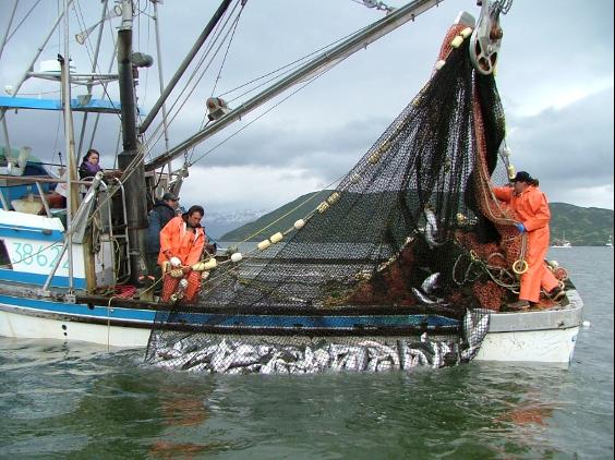Mixed-stock Pacific salmon fisheries: