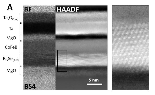A Sample Used for the Charge-To-Spin Conversion Experiment