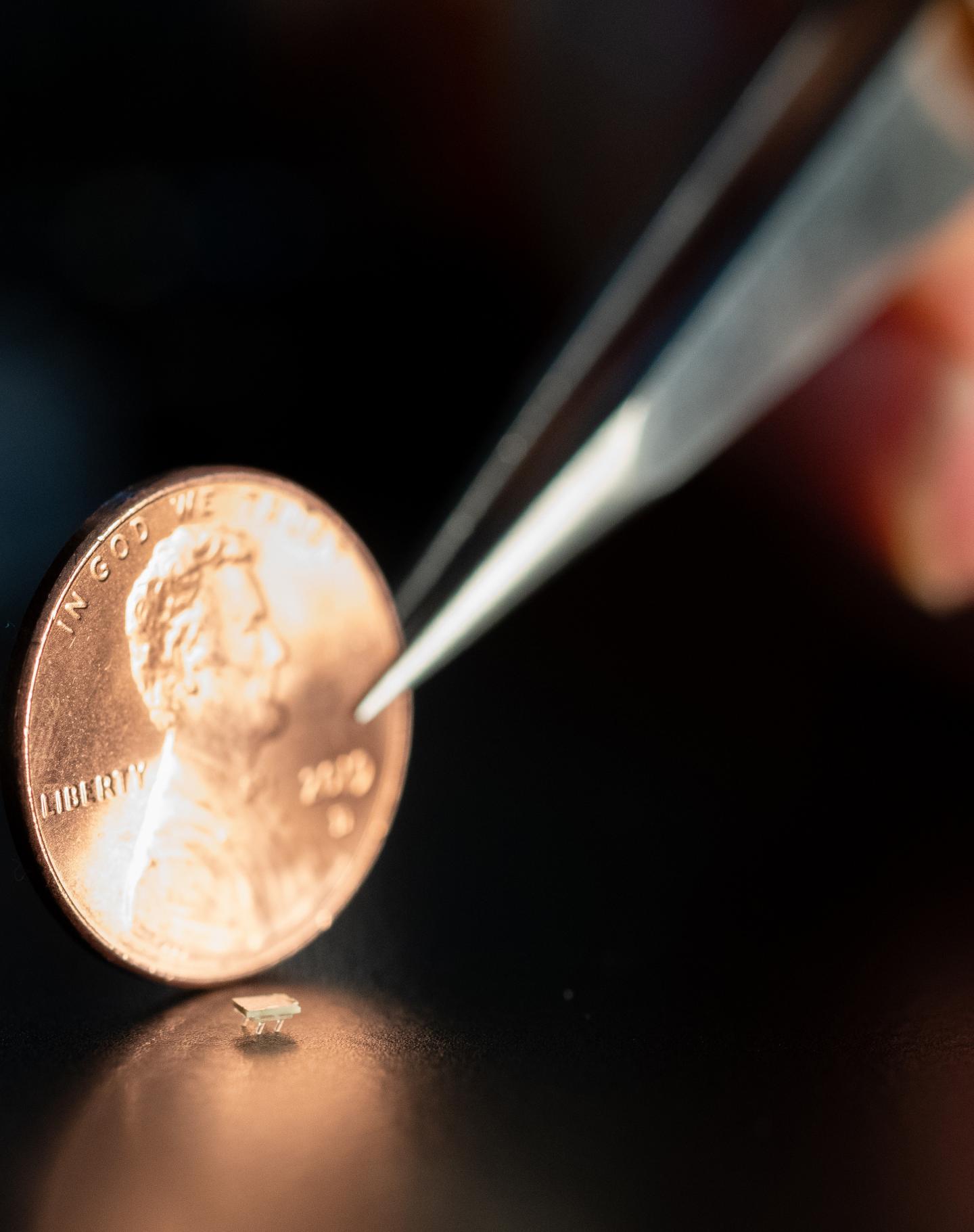 Micro-Bristle-Bot Next to a Penny