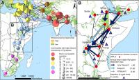 Network Map of the Atmospheric Transmission of Spores Causing Wheat Stem Rust