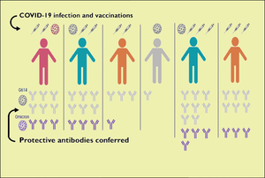 Breakthrough COVID-19 Infections Spur Strong | EurekAlert!