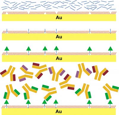 Biocapture Surfaces Produced for Study of Brain Chemistry