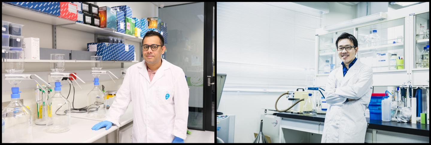 Warish Ahmed and Masaaki Kitajima