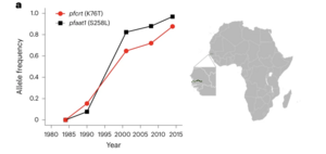 Malaria drug resistance graph