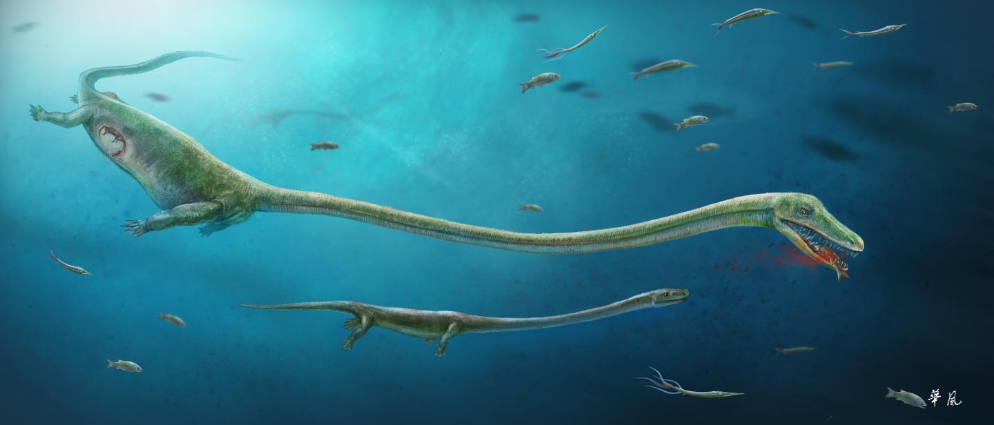 Fossil Discovery Rewrites Understanding of Reproductive Evolution