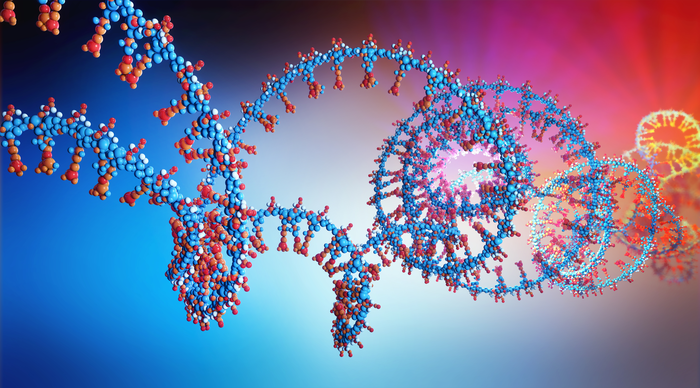 3d illustration of an RNA chain.