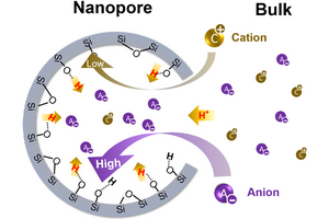 Transport in nanopores