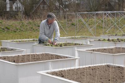 Wim van der Putten, Netherlands Institute of Ecology