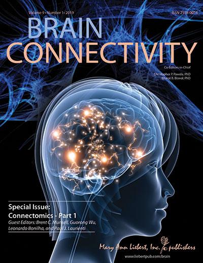 <em>Brain Connectivity</em>