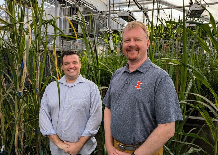 CABBI authors on improved Water Use Efficiency in C4 bioenergy crops