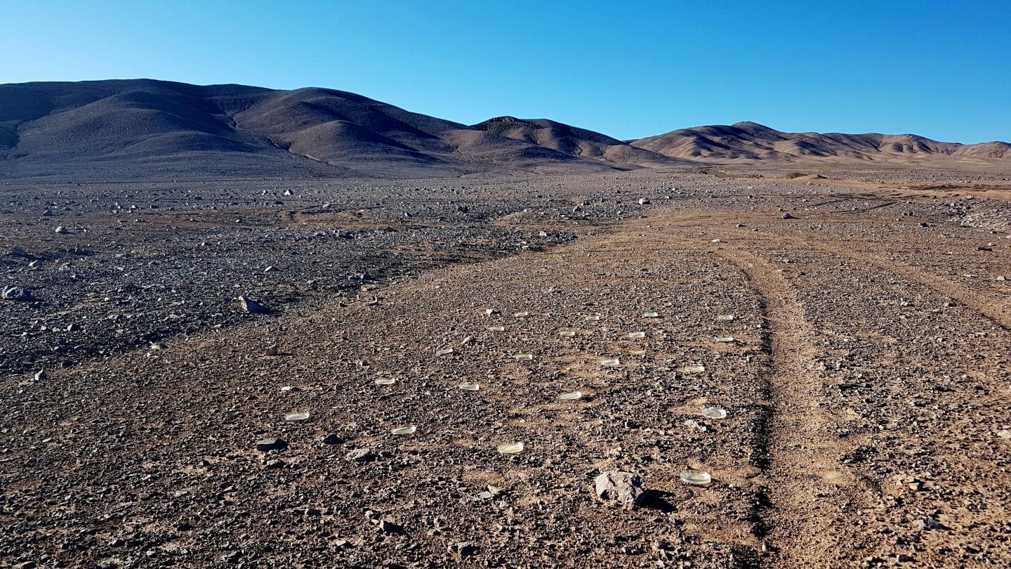 Atacama Desert 2