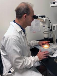 Larry A. Gallagher in microbiology lab