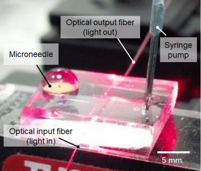 Microneedle Optofluidic Device