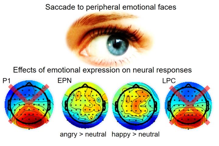 Scientific Image Showing
