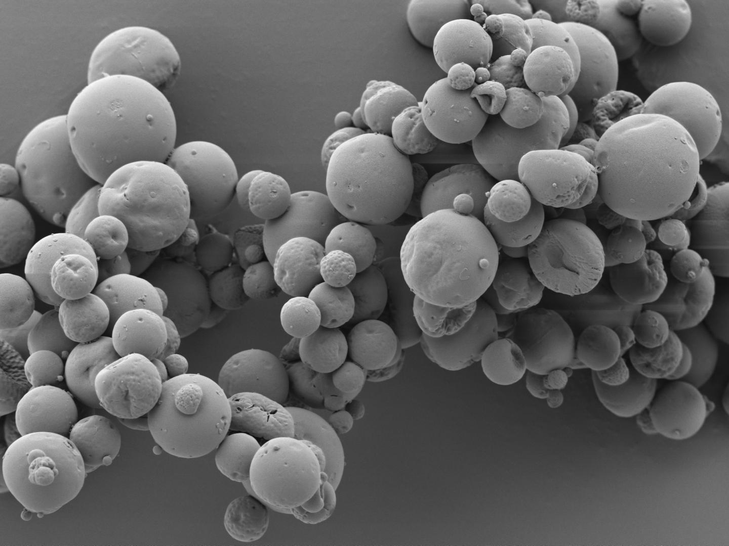 Biodegradable microspheres