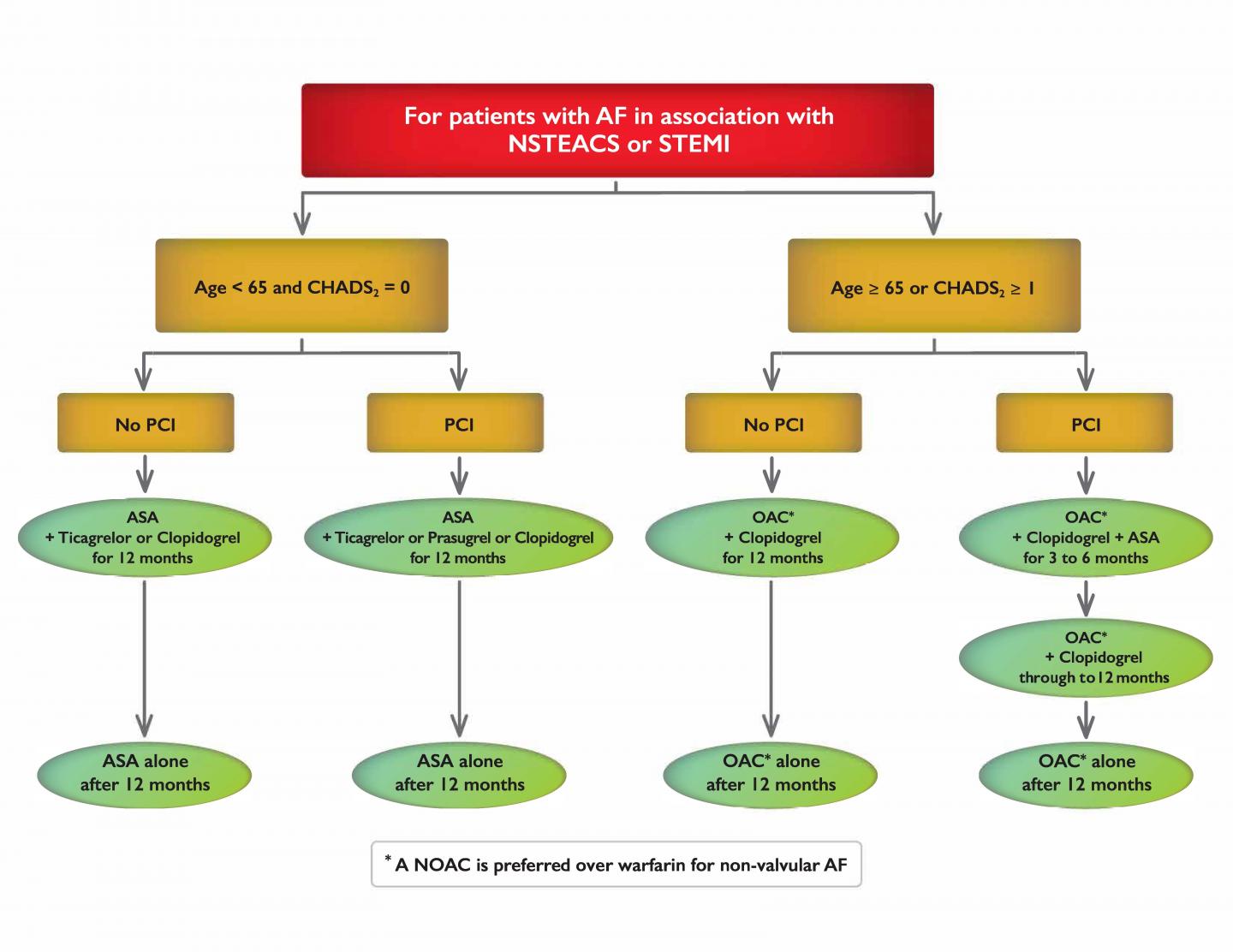 Canadian Cardiovascular Society Sets New Guidelines for the Management and Treatment of Atrial Fibrillation