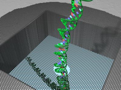 Nanopore Created in Graphene with DNA
