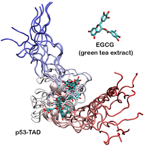 Tackling disordered proteins