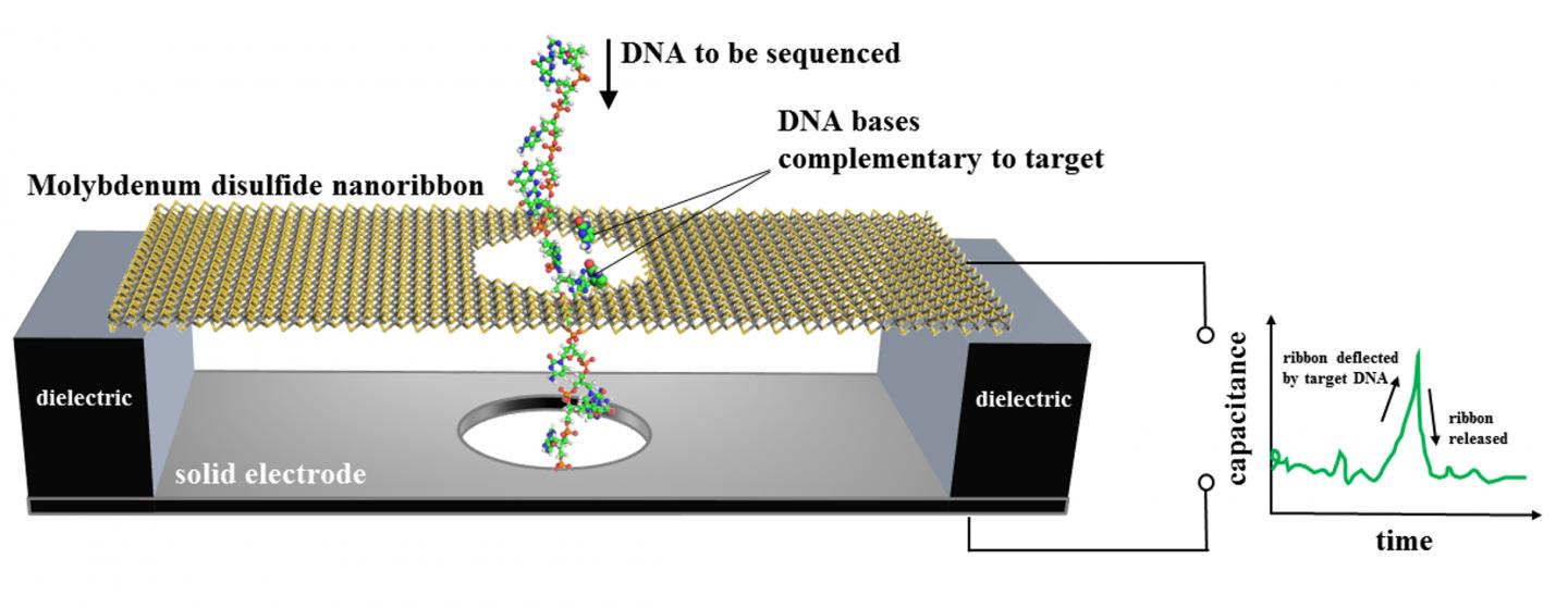 NIST's Proposed Motion Sensing DNA Sequencer