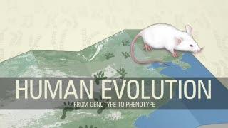 2 Cell Studies Reveal Genetic Variation Driving Human Evolution