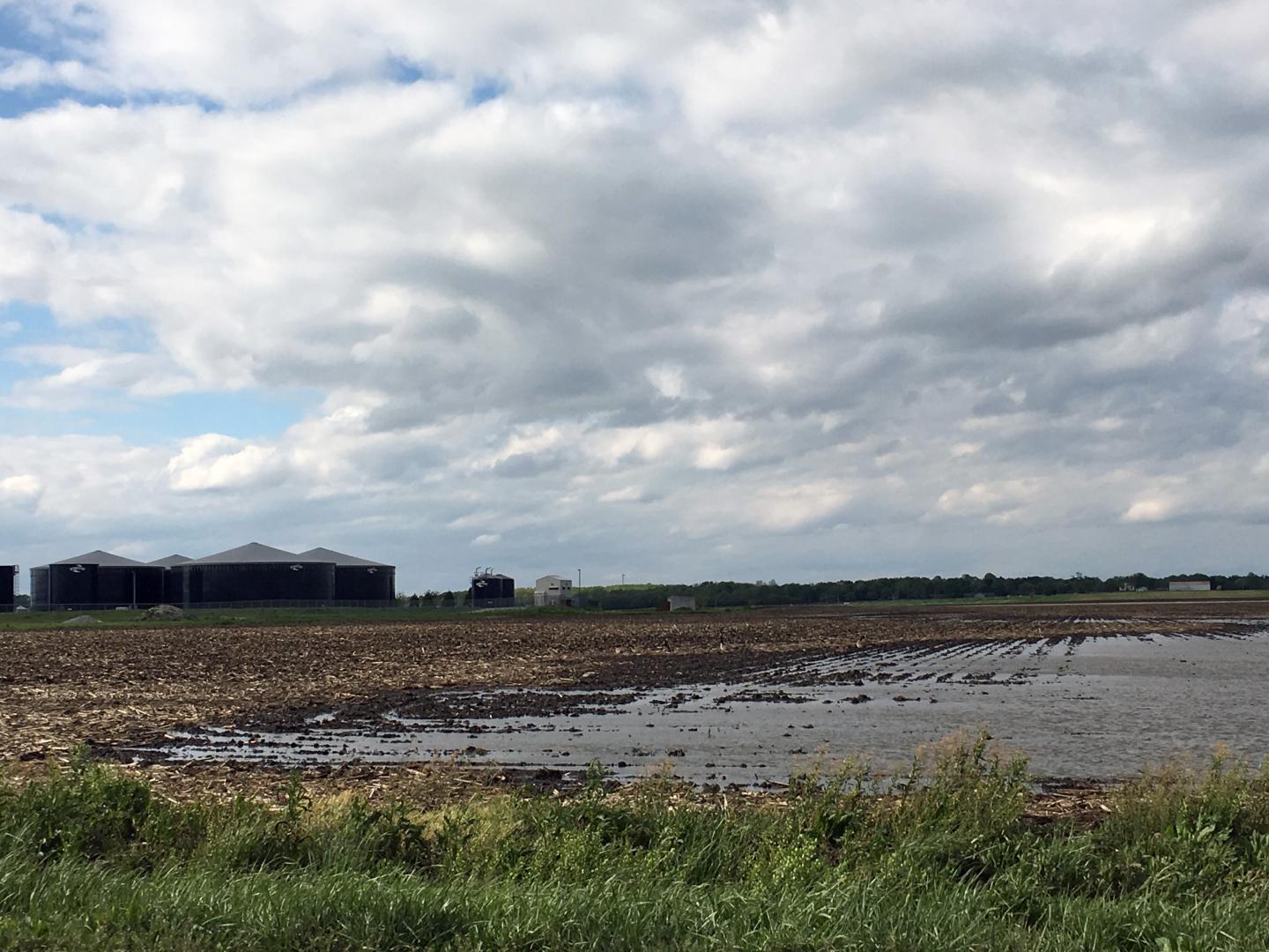 Flooded field