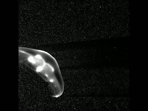 Jellyfish uses its vortex rings to swim efficiently