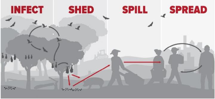 Land use-induced spillover