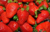 Strawberries Against Breast Cancer I