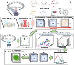 FBS-IDT principle and workflow.