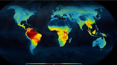 Terrestrial Vertebrate Richness