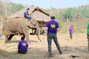 researchers observing an elephant with its handler