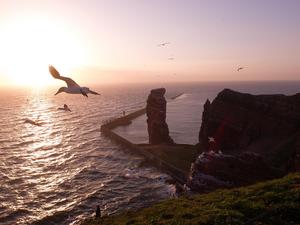 Helgoland Sunset