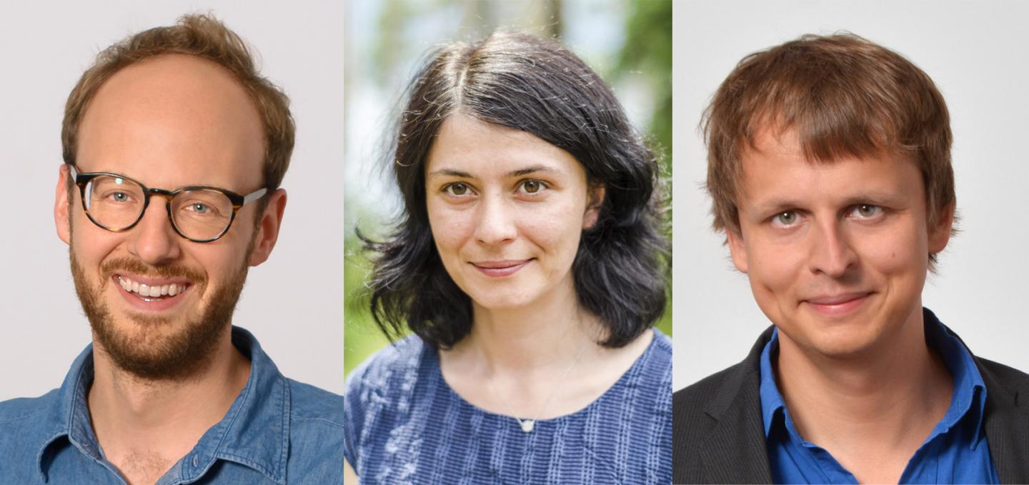 Martin Loose, Anna Kicheva and Krzysztof Pietrzak