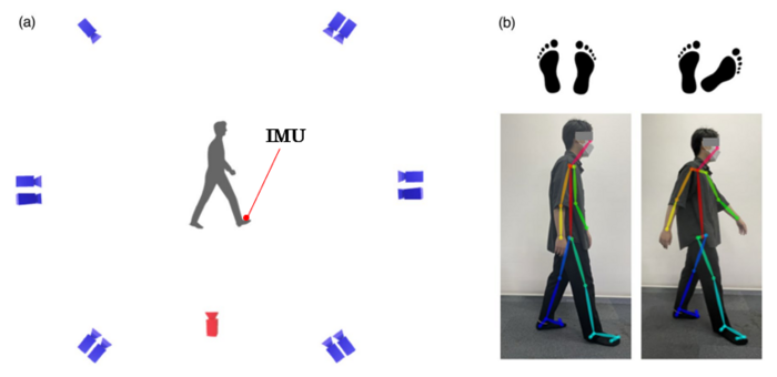 A more accurate markerless gait analysis tool