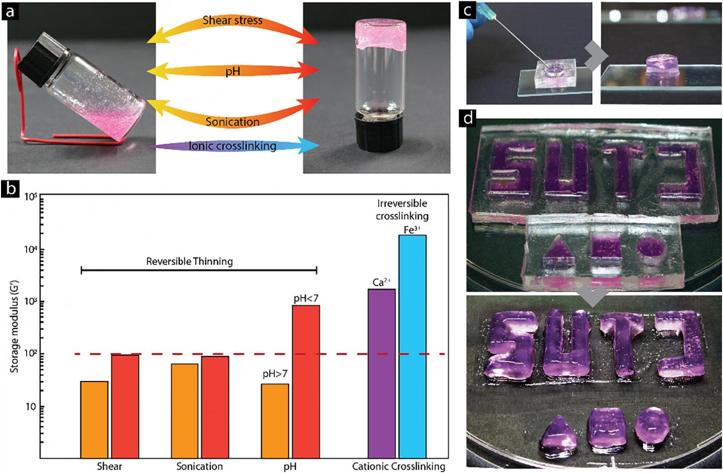 Characterization of CNF Thixotropy