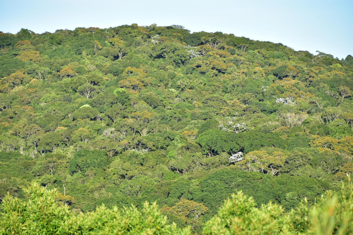 Most Carbon Storage is Provided by Natural Systems Outside of Protected Areas